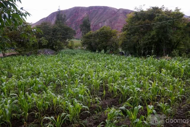 Terreno de 4890 m2 en el Valle Sagrado de los Incas. Yanahuara - Urubamba. BAJO DE PRECIO! — foto 3