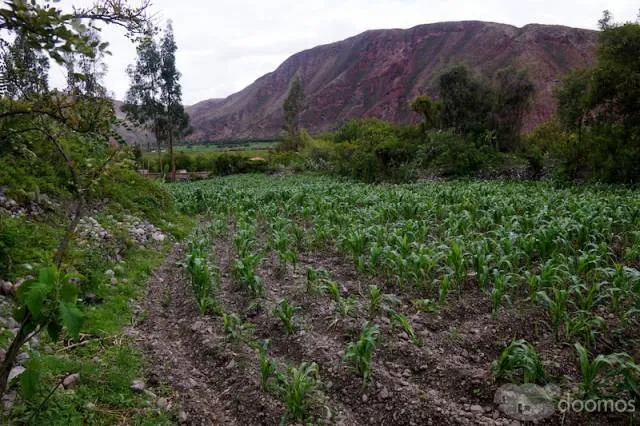 Terreno de 4890 m2 en el Valle Sagrado de los Incas. Yanahuara - Urubamba. BAJO DE PRECIO! — foto 4
