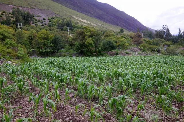 Terreno de 4890 m2 en el Valle Sagrado de los Incas. Yanahuara - Urubamba. BAJO DE PRECIO! — foto 5