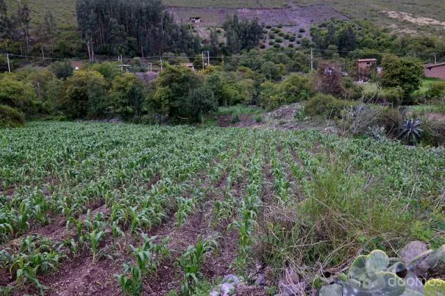 Terreno de 4890 m2 en el Valle Sagrado de los Incas. Yanahuara - Urubamba. BAJO DE PRECIO! — foto 6