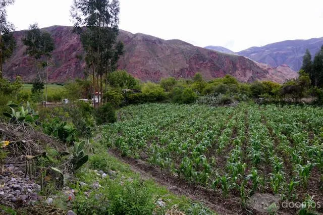 Terreno de 4890 m2 en el Valle Sagrado de los Incas. Yanahuara - Urubamba. BAJO DE PRECIO! — foto 7