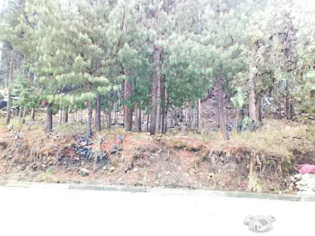 TERRENO IDEAL PARA NEGOCIO — foto 5