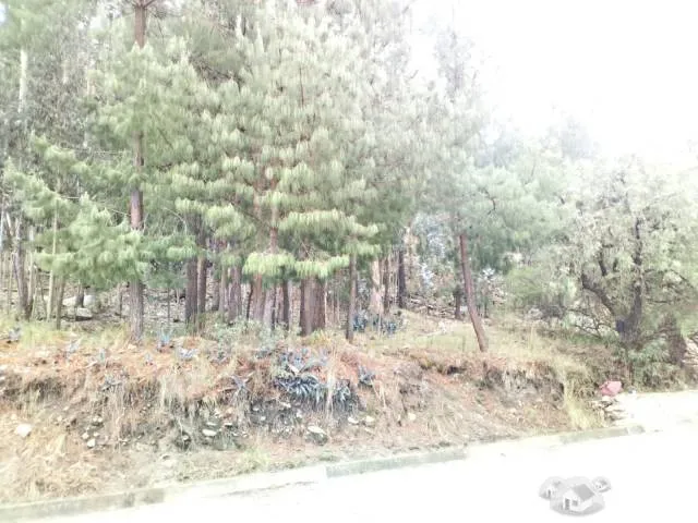 TERRENO IDEAL PARA NEGOCIO — foto 6