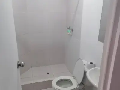 Miniatura 9