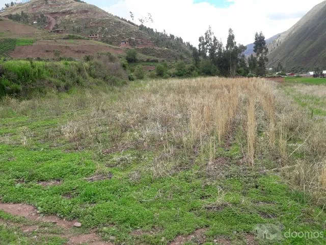 se vende terreno en sorama angostura distrito de saylla. — foto 6