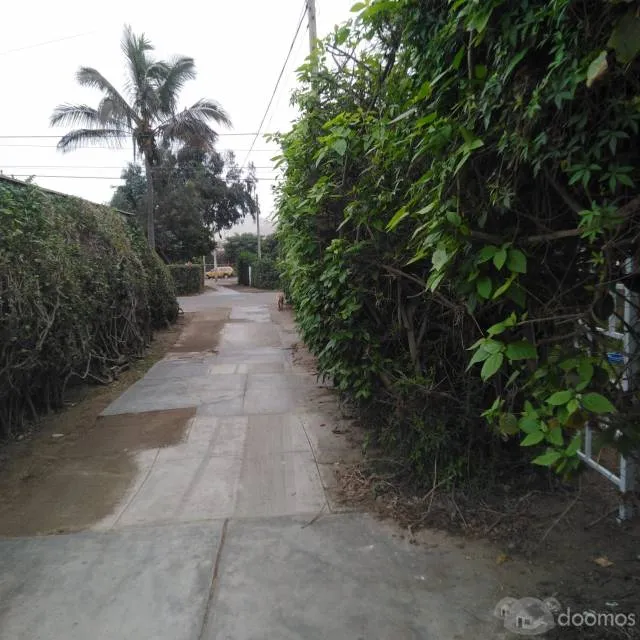 3 Cuartos, 160 m² – VENDO CASA DE PLAYA EN BALNEARIO SANTA ROSA - 995760074 — foto 2