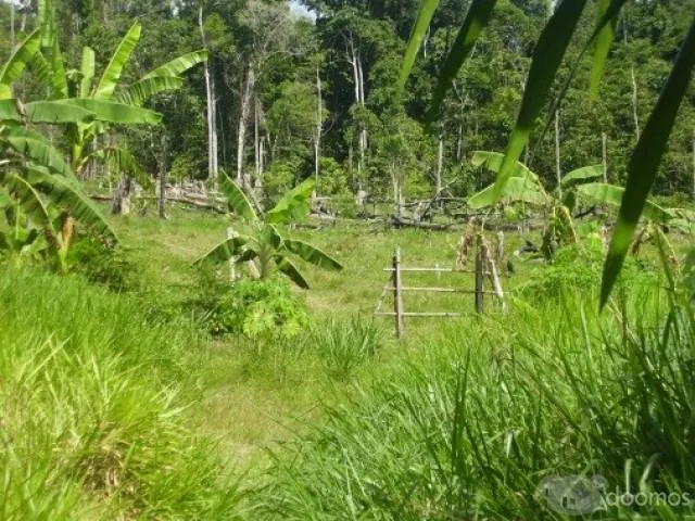 ALQUILO TERRENO PARA SIEMBRA - 2