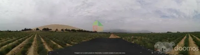 Lindo Terreno en Venta frente a la Panamericana en San Pedro de Lloc - 1