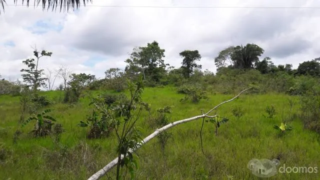 SE VENDE EXCELENTE TERRENO EN CAMPO VERDE-CARRETERA TOURNAVISTA - 3