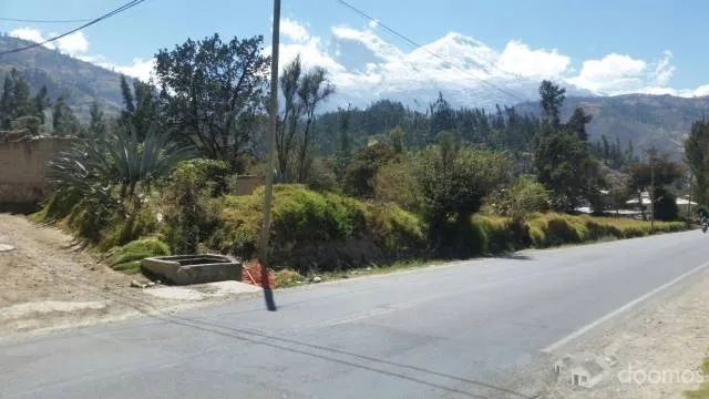 remato terreno en plena carretera - 1