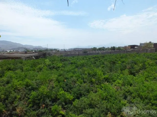 Venta de Terreno en Comas Trapiche - 1