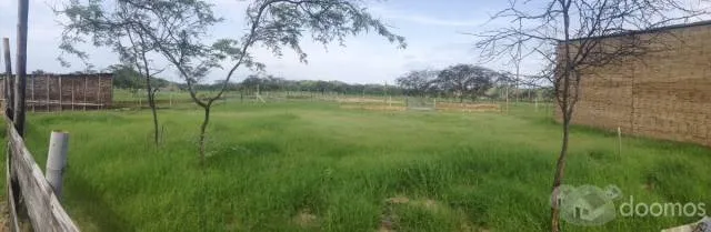 Terreno Mancora - 1