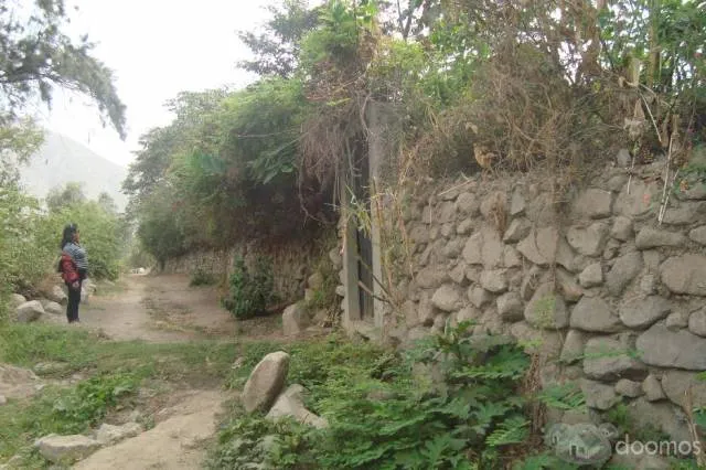 Venta de terreno lleno de cultivos frutales y vegetales; para casa de campo o agricultura - 3