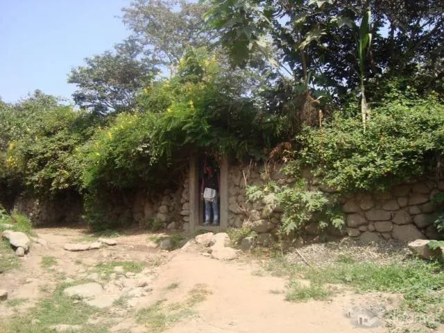 Venta de terreno lleno de cultivos frutales y vegetales; para casa de campo o agricultura - 4