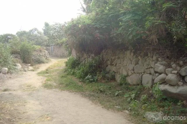 Venta de terreno lleno de cultivos frutales y vegetales; para casa de campo o agricultura - 7