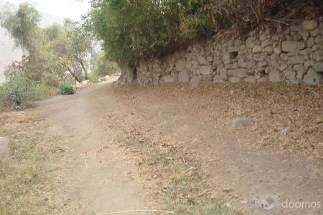 Venta de terreno lleno de cultivos frutales y vegetales; para casa de campo o agricultura - 8