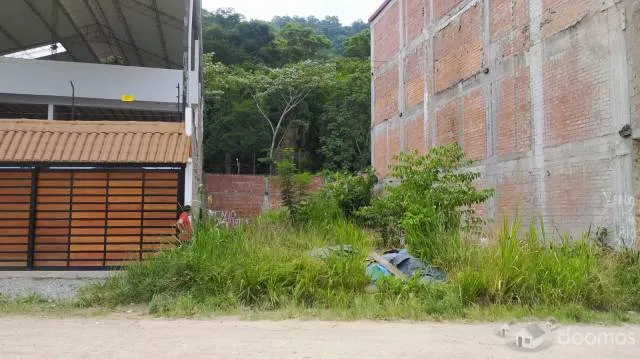 Terreno en Venta en Pampa del Carmen La Merced Chanchamayo - 2