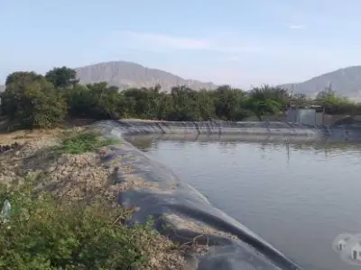 Venta de Terreno Agrícola en Tuman