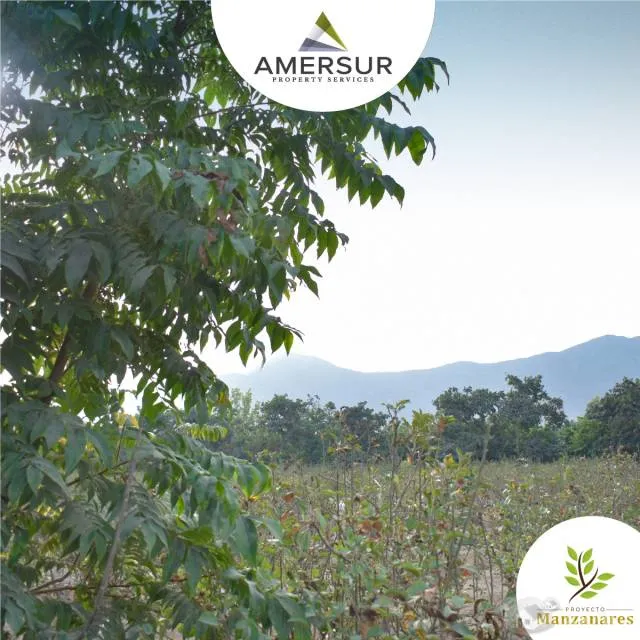 NUEVO PROYECTO->Terreno con plantaciones en HUARAL — foto 2