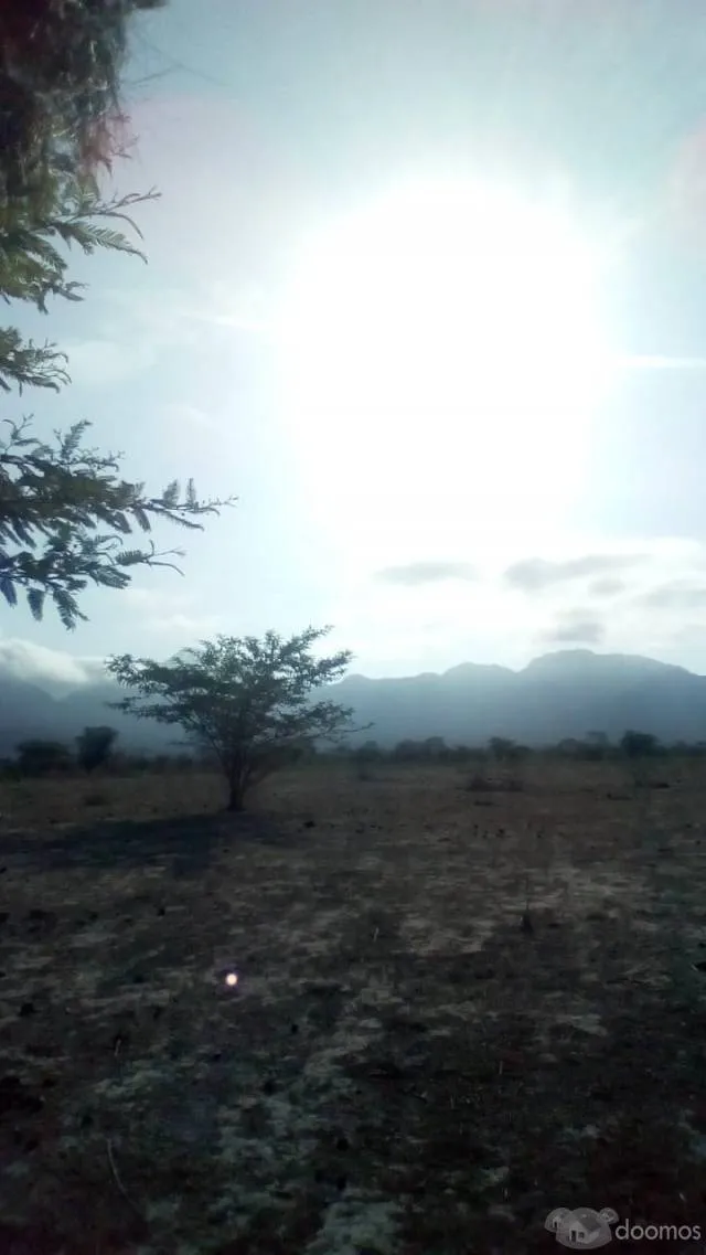 Venta Terreno - Valle Alto Piura - 5