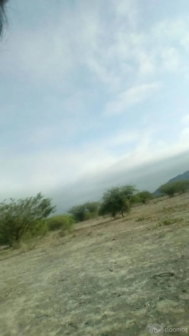Venta Terreno - Valle Alto Piura - 6