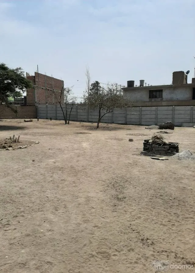 Venta de Tres Lotes de terrenos — foto 3