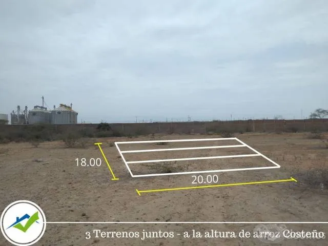 VENTA DE TERRENOS JUNTOS EN SULLANA - 3