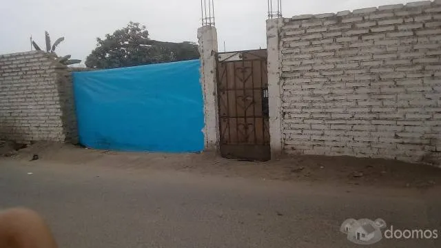 TERRENO URBANO - SUNAMPE - 4