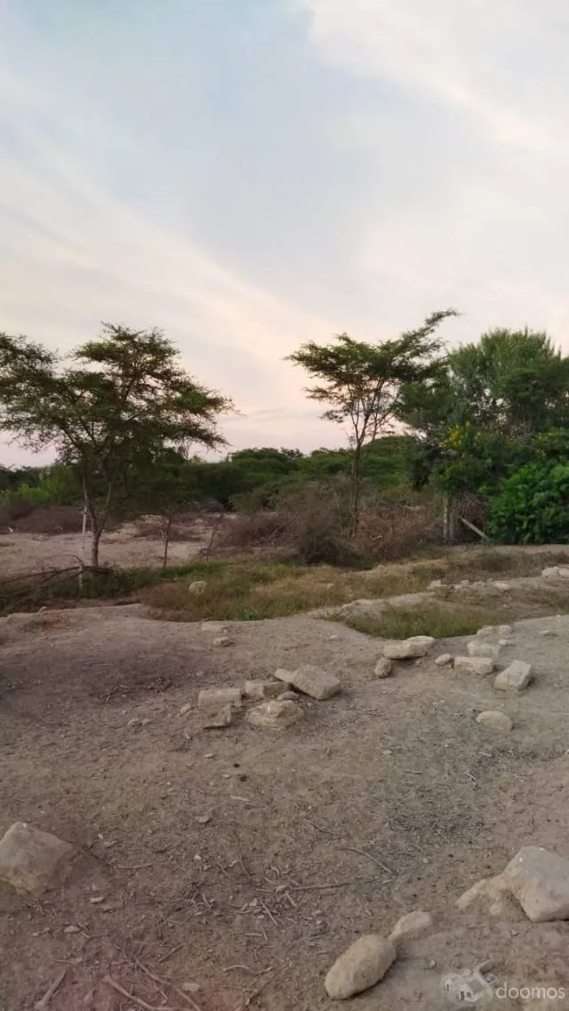 VENDO 1,100 M2 DE TERRENO EN GROCIO PRADO,  POR LA AV SAN BENITO — foto 6