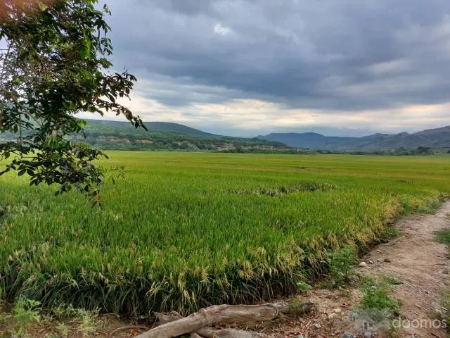 Fundo Agrícola Jaén, Cajamarca 105 ha - 2