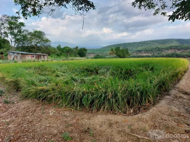 Fundo Agrícola Jaén, Cajamarca 105 ha - 4