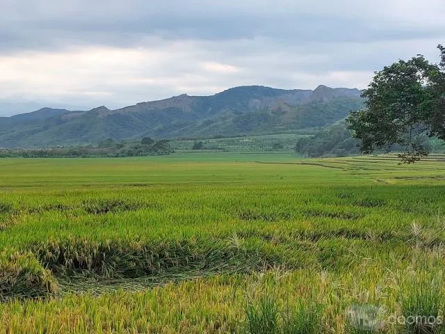 Fundo Agrícola Jaén, Cajamarca 105 ha - 5