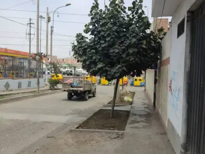 ALQUILER LOCAL COMERCIAL