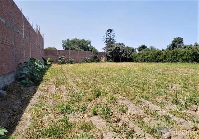 TERRENO EN VENTA 2,270.50 M2 — foto 3