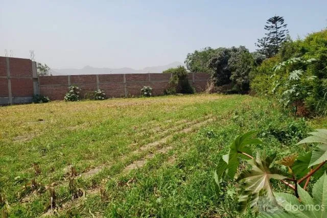 TERRENO EN VENTA 2,270.50 M2 — foto 4