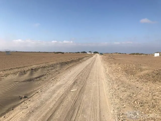 Venta Terreno Agricola (50 Hectáreas ) - 3