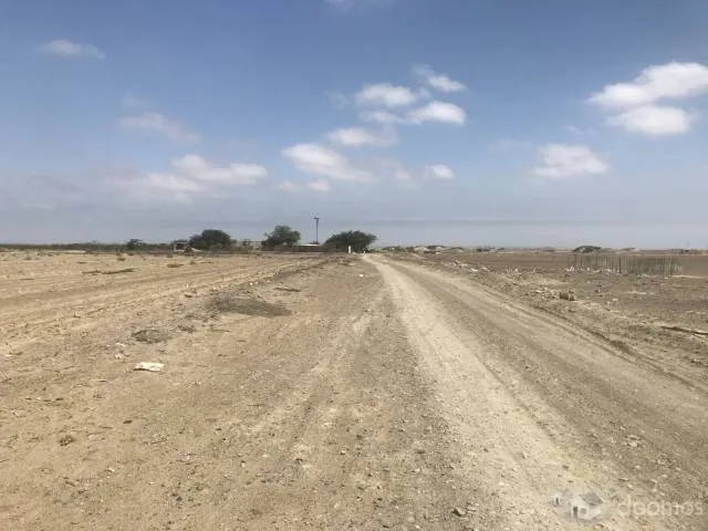 Venta Terreno Agricola (50 Hectáreas ) - 4