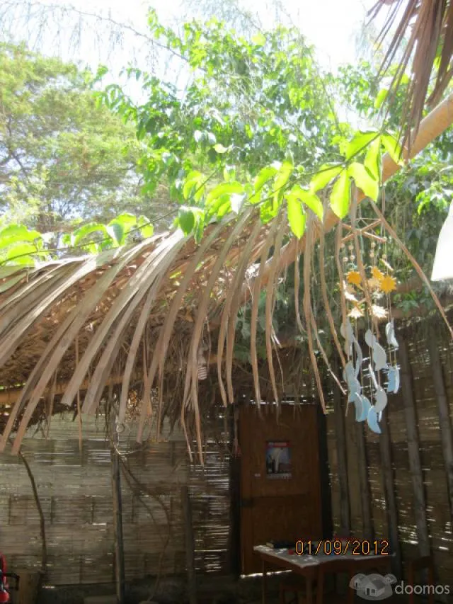 Roommate , compartir casa - 4