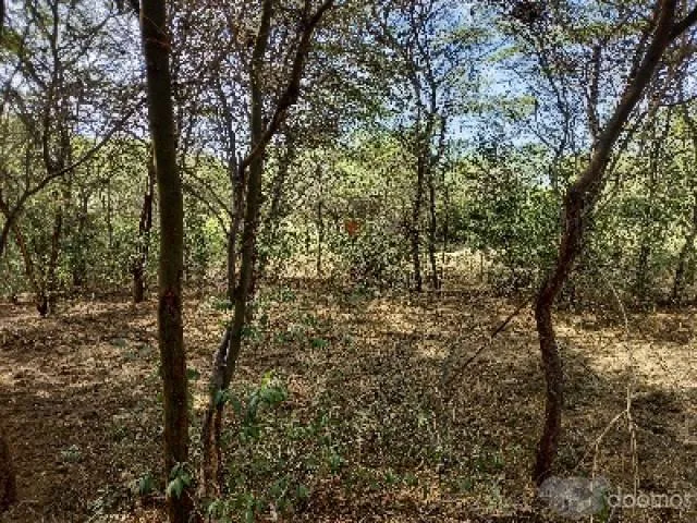 Terreno para casa autosostenible - 2