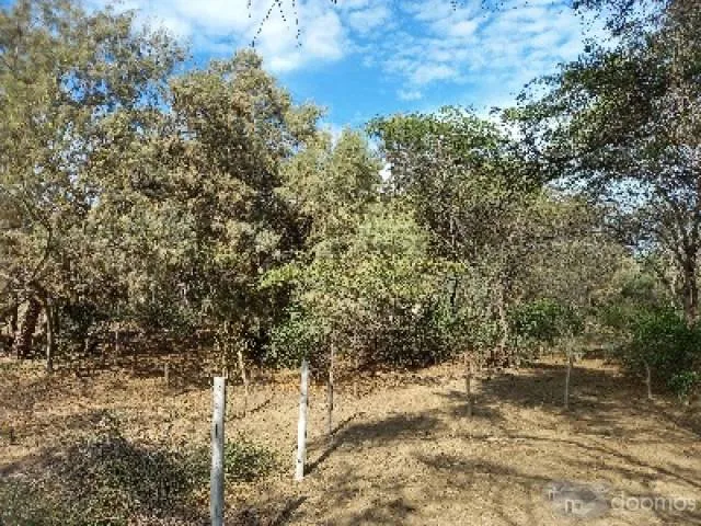 Terreno para casa autosostenible - 3