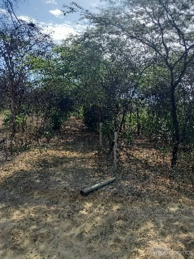 Terreno para casa autosostenible - 4