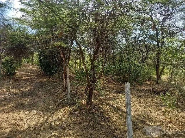 Terreno para casa autosostenible - 5