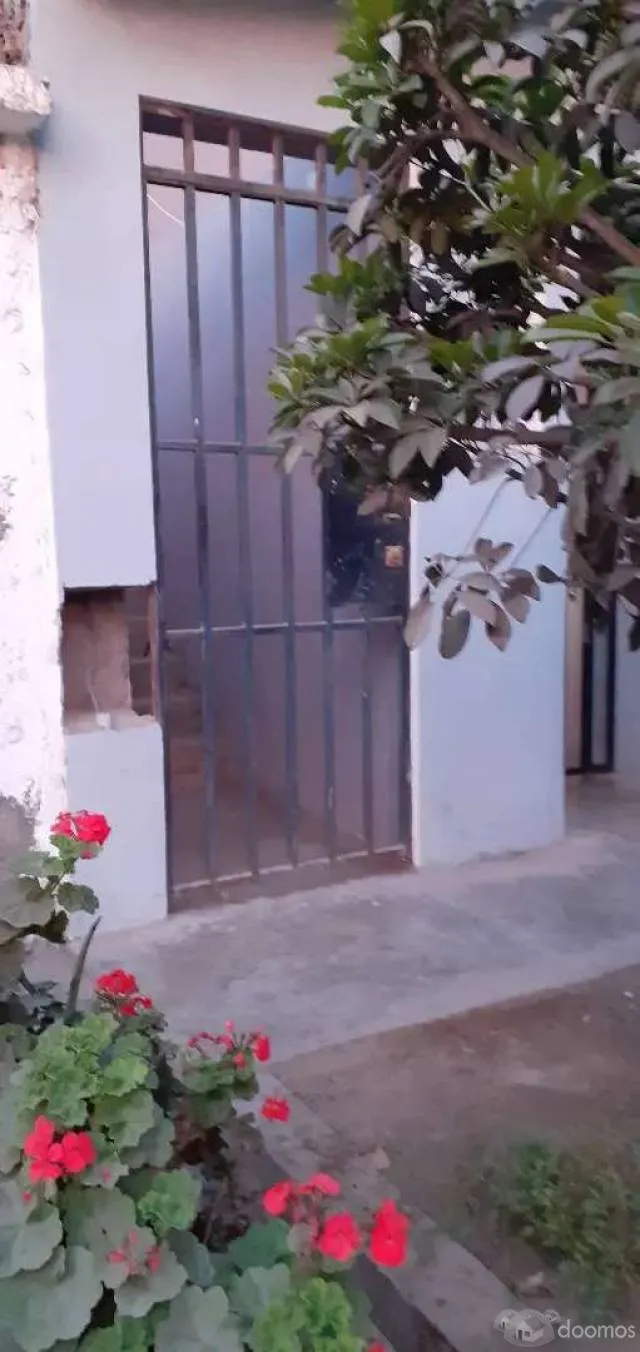 VENTA CASA 2,3 Y 4 PISO SAN MARTIN DE PORRES — foto 5