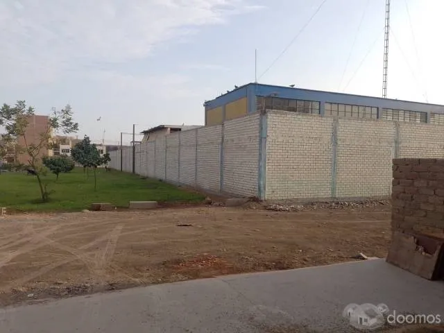 Alquiler de primer piso que tiene local comercial y mini departamento - 4