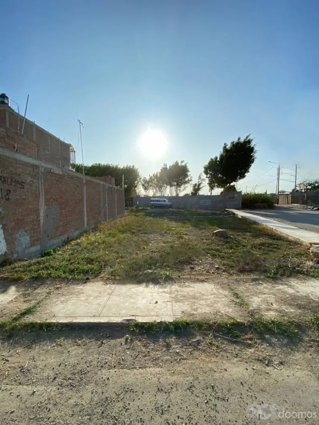 VENDO TERRENO EN URB. LAS PALMAS-CHICLAYO — foto 1
