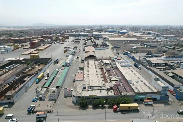 Venta de Local Industrial de 6000 mt2 como Terreno en Av Nestor Gambeta - 5