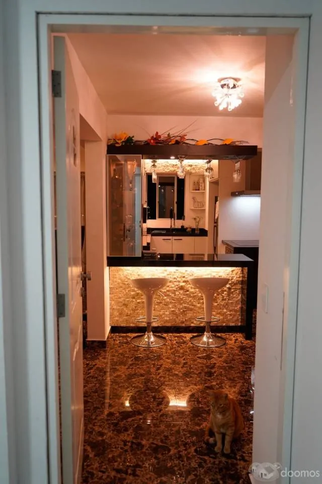 DEPARTAMENTO EN VENTA - SAN LUIS - URB. VILLA JARDÍN - LIMA, PERÚ — foto 2