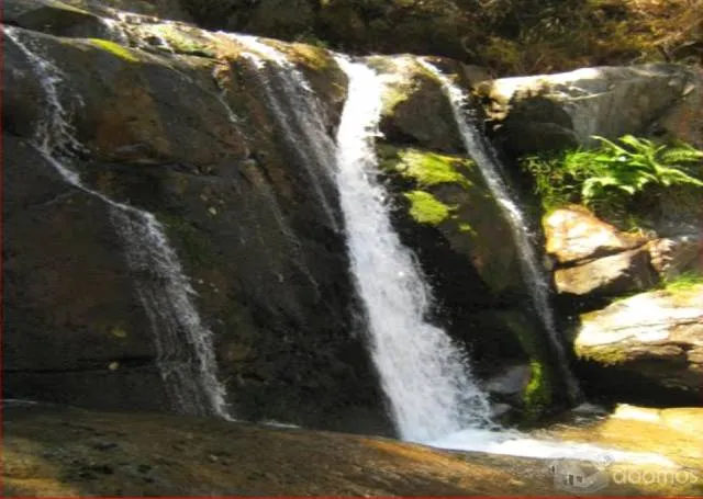 Ocasión Vendo Terreno En Ancash 1.827.00 Ha - 1