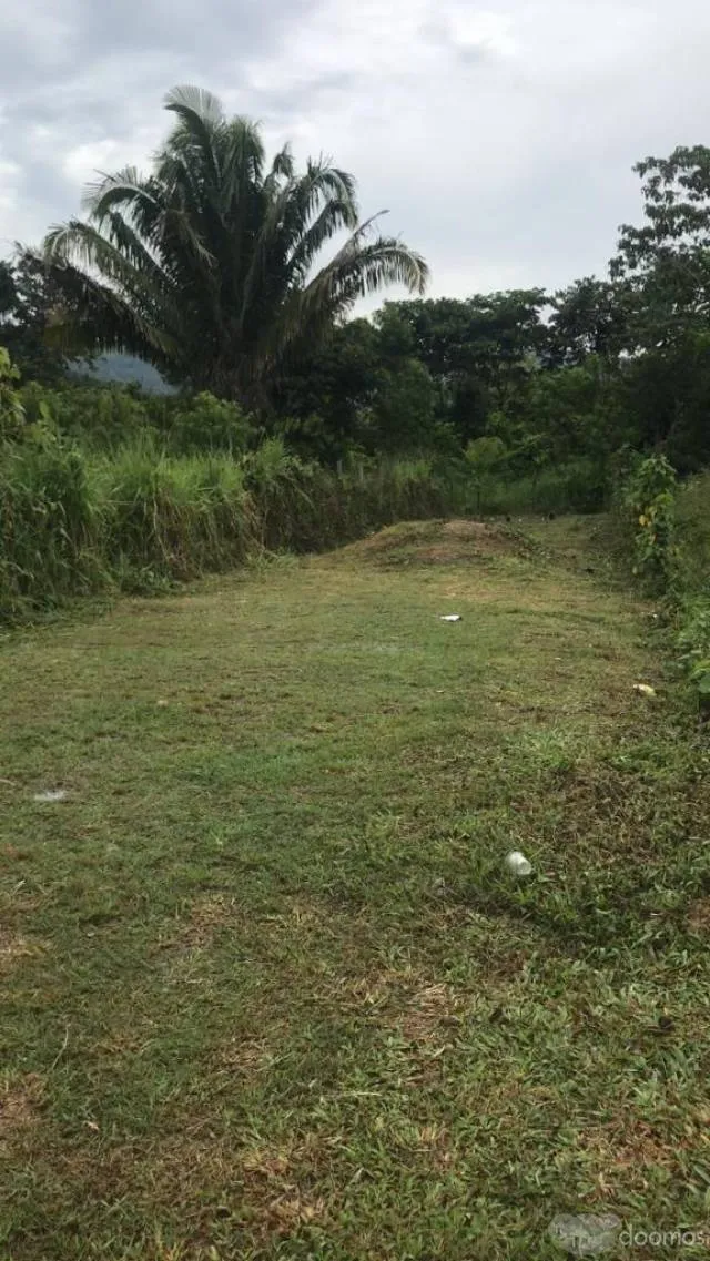 Terreno en Venta Sauce - 1