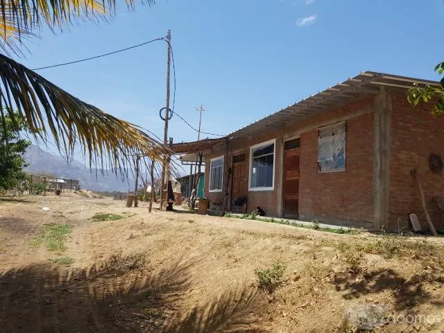 TERRENO AGRICOLA 28 (VENTIOCHO) HECTAREAS EN PLANO, (SECTOR HUMEDADES) UBICADO A 15 MIN DE LA PLAZA DE ARMAS DE MOTUPE-LAMBAYEQUE. - 4